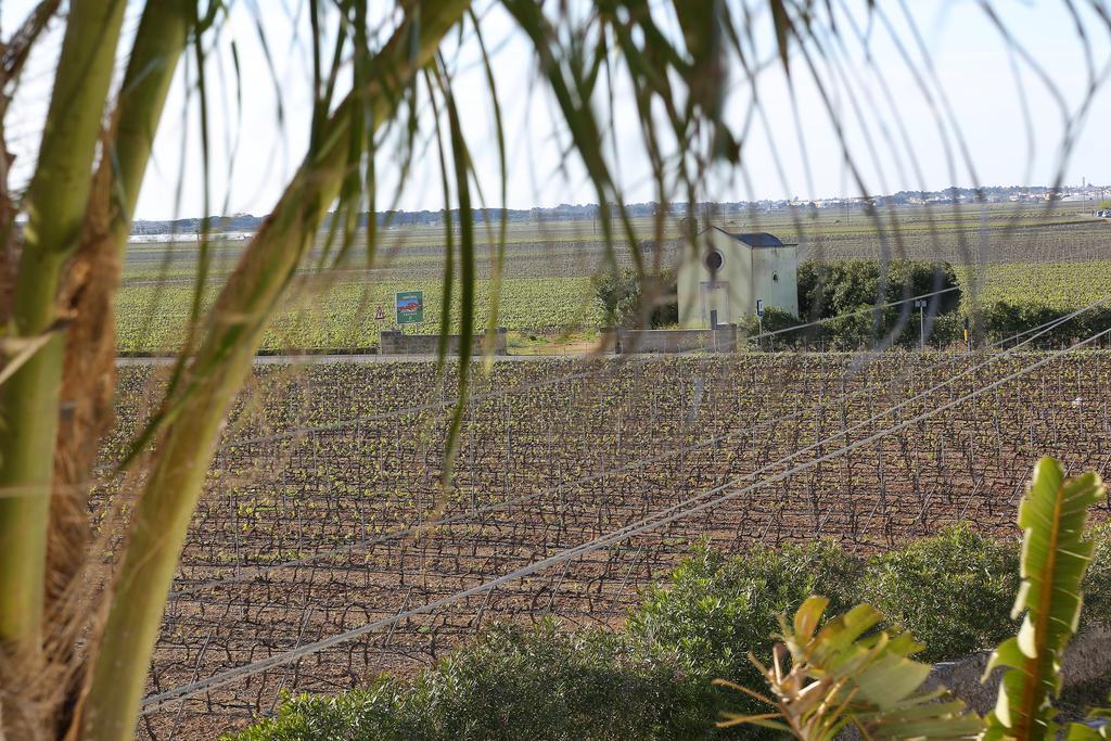 Eco Green La Vigna Leverano Rum bild