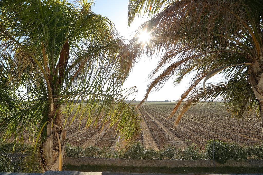 Eco Green La Vigna Leverano Rum bild