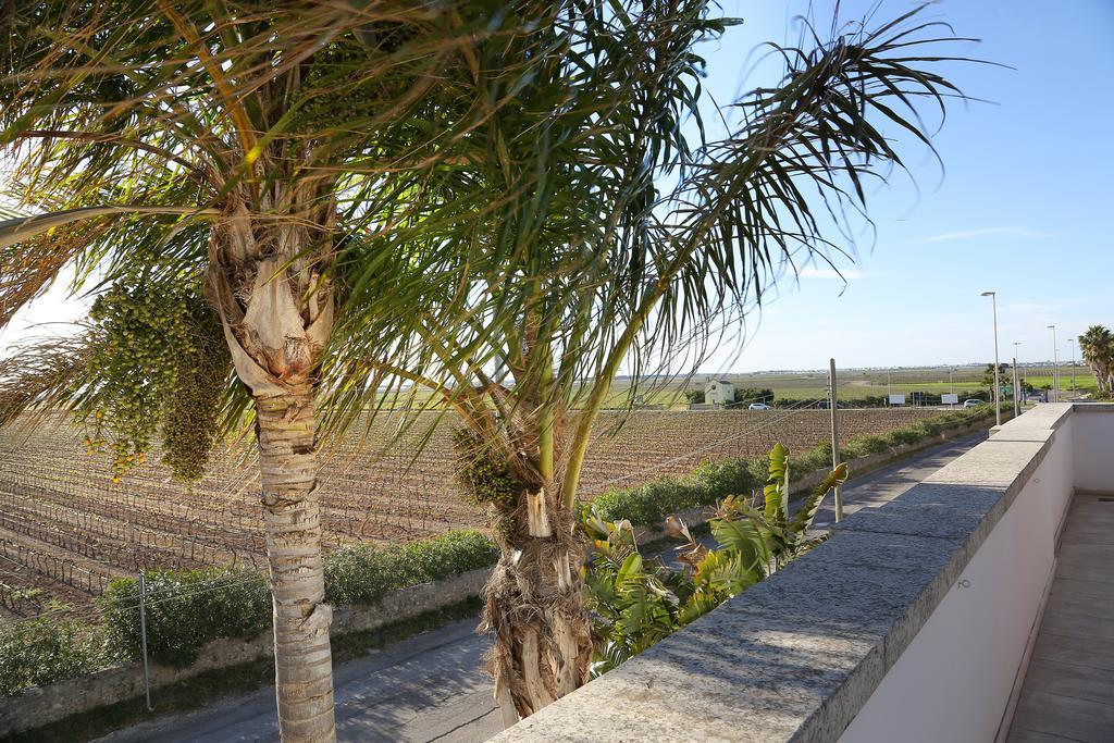 Eco Green La Vigna Leverano Rum bild